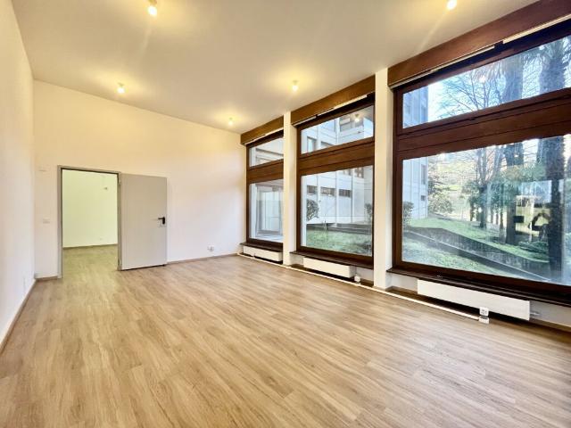 Büro mieten in Aldesago, Tessin