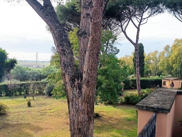 Villa Indipendente in affitto a Roma Capitale, Lazio