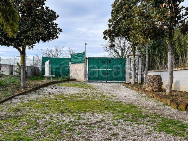 Villa Indipendente in affitto a Marche, Fermo