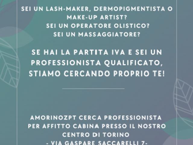 Locale Commerciale in affitto a Piemonte, Torino