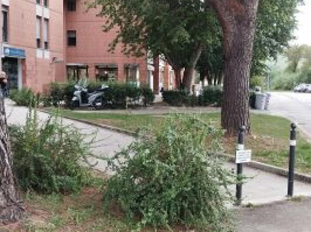 Ufficio in affitto a Marche, Pesaro E Urbino