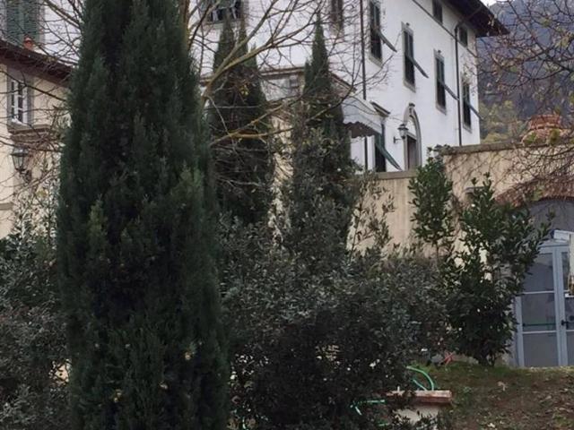 Villa Indipendente in affitto a Centro Direzionale, Prato