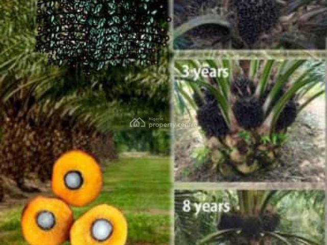 Commercial for sale in Ogun