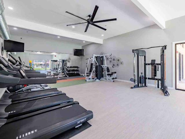 Apartment for rent in Austin