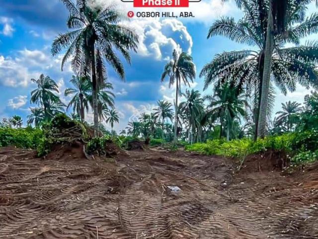 Land for sale in Aba, Abia