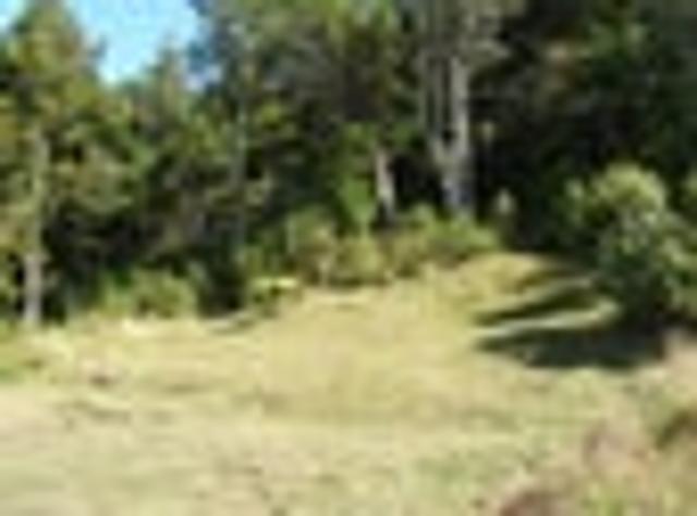 Land for sale in Ngunguru, Northland