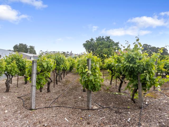 House for sale in Maitland, Yorke Peninsula Council