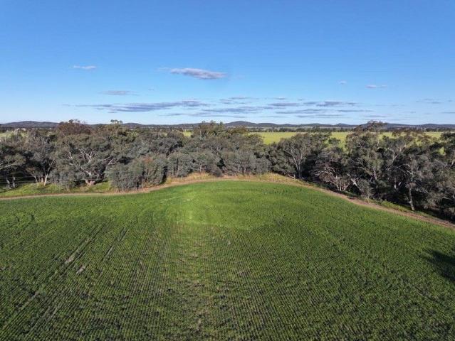 Acreage for sale in Barmedman, New South Wales