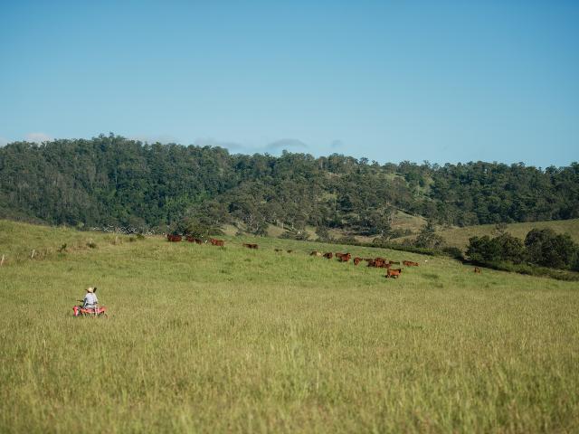 Property for sale in Wiangaree, New South Wales