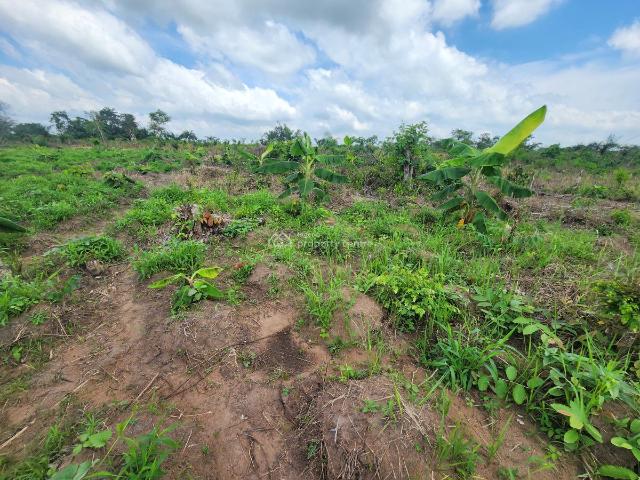 Land for sale in Odeda, Ogun
