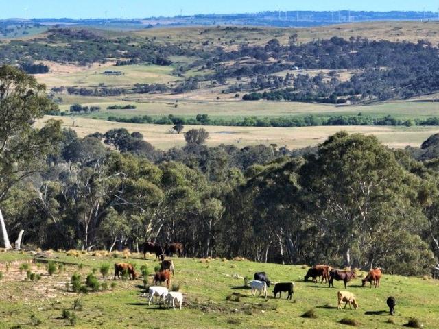 Cottage for sale in Goulburn