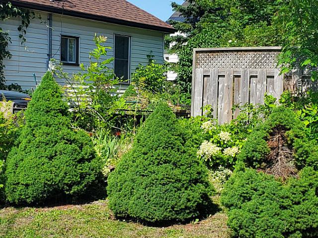 House for sale in Sault Sainte Marie, Ontario