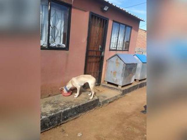 House for sale in Orange Farm