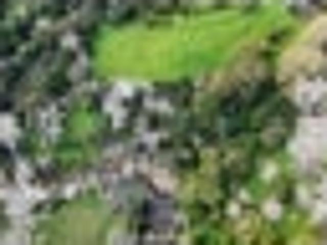 Land for sale in Northland