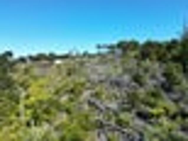 Land for sale in Kawau Island