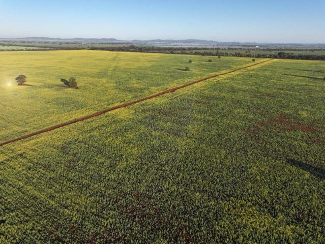 Property for sale in Lake Cargelligo, Lachlan Shire Council