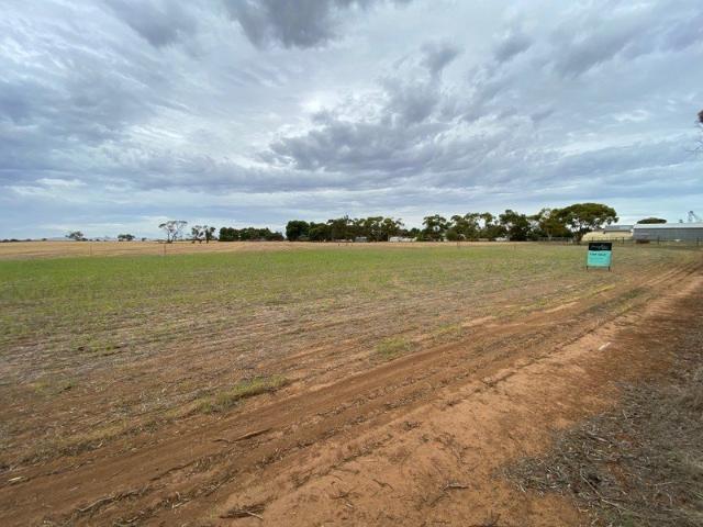 Land for sale in Bute, South Australia