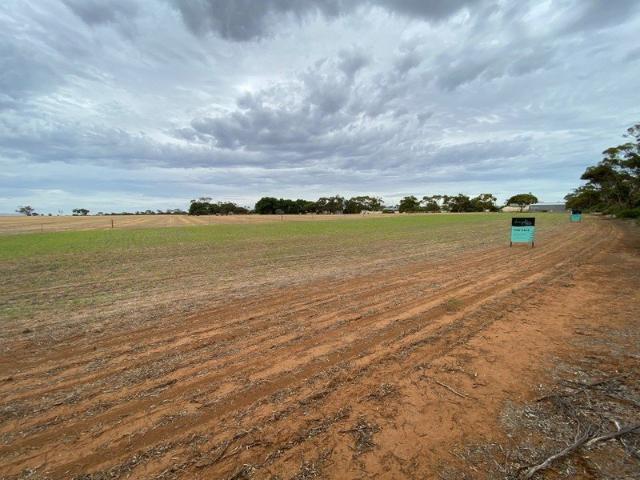 Land for sale in Bute, South Australia
