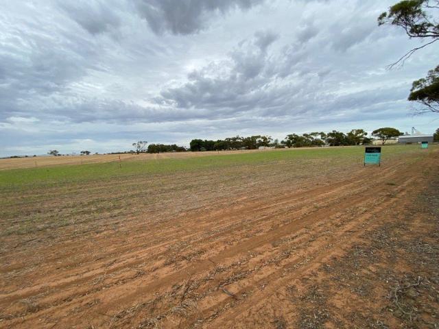 Land for sale in Bute, South Australia