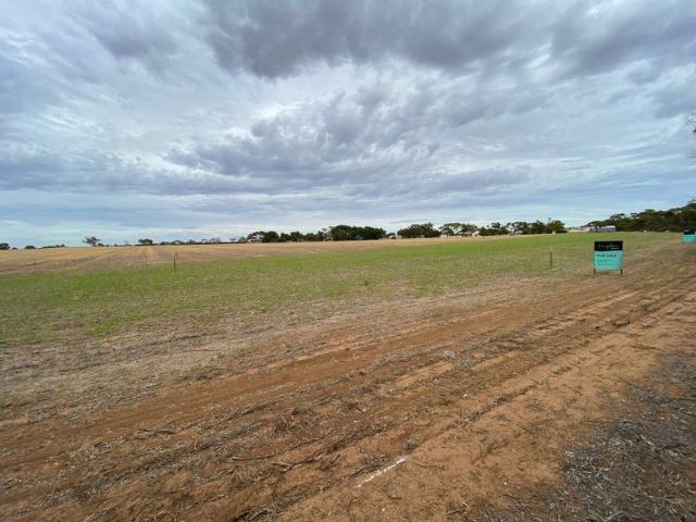 Land for sale in Bute, South Australia