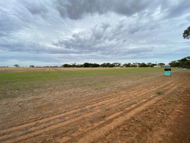 Land for sale in Bute, South Australia