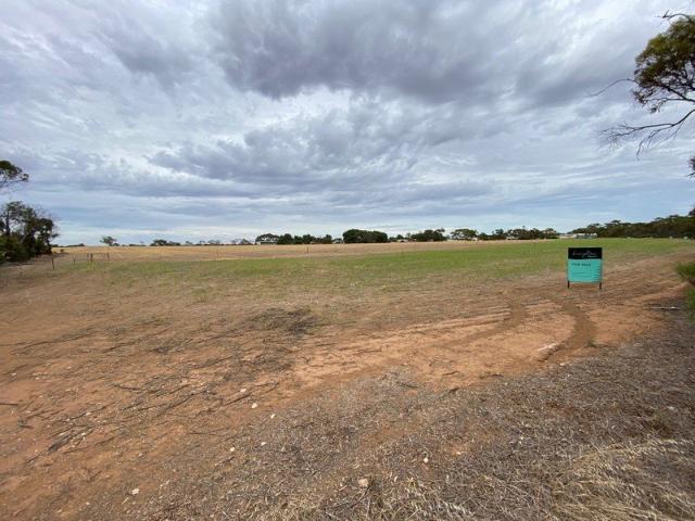 Land for sale in Bute, South Australia