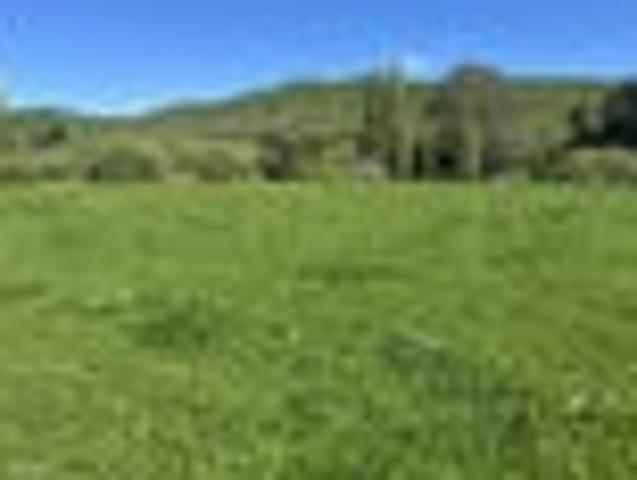 Land for sale in Waikato