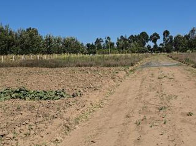 Land for sale in Nanyuki, Laikipia