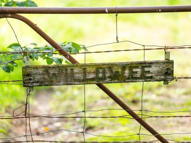 Cottage for sale in Jindera, New South Wales