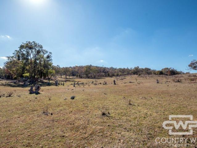 Cottage for sale in Emmaville, New South Wales