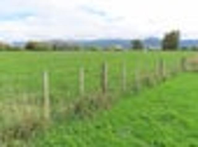 Land for sale in Tararua District