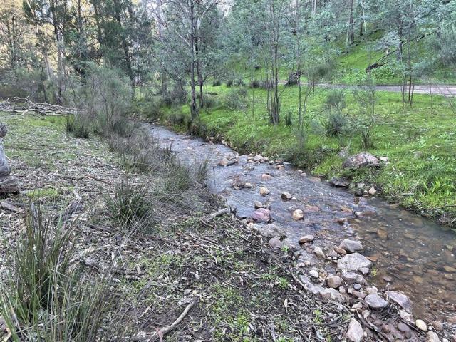 Cottage for sale in Gooloogong, New South Wales