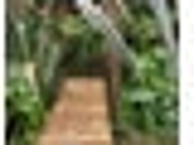 Land for sale in Waiheke, Omiha