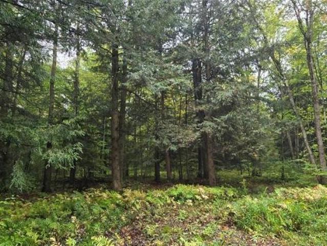 Land for sale in Afton, New York