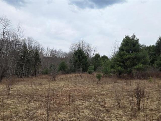 Land for sale in Afton, New York