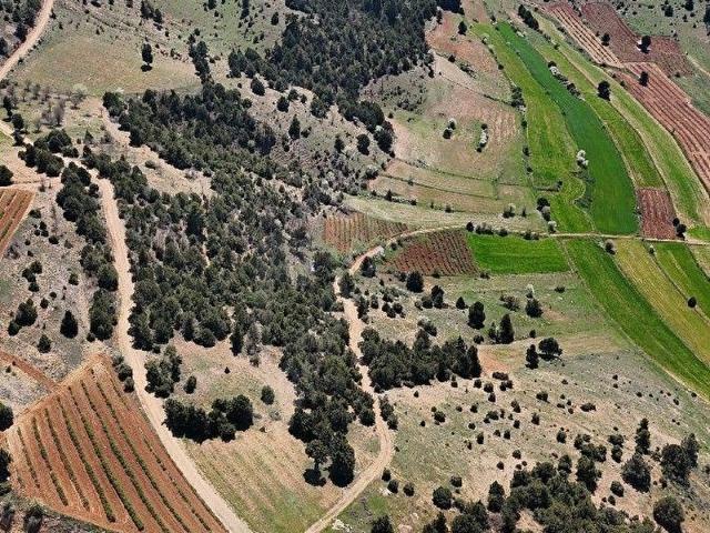 Çığrı, Başmakçı içerisinde satılık Arsa