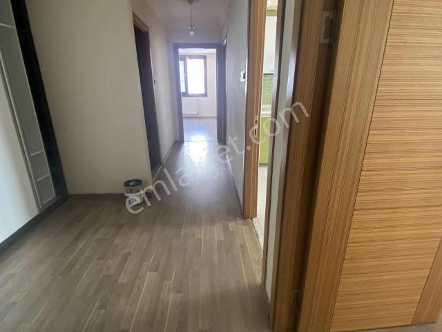 Afyon Merkez, Afyonkarahisar içerisinde kiralık mülk