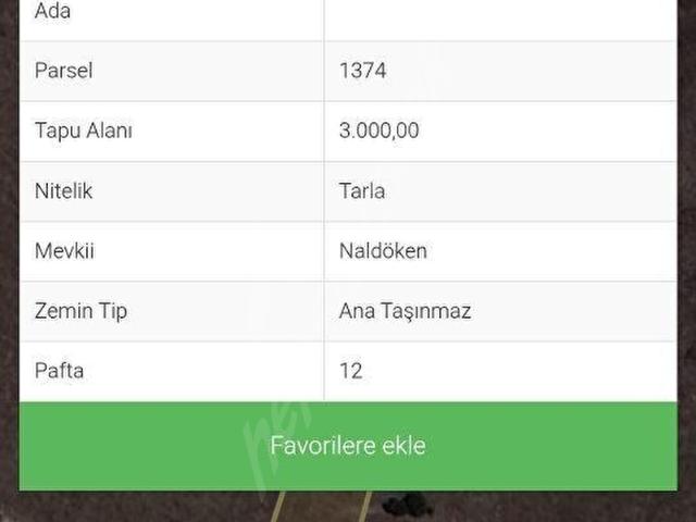 Halımoru, Afyonkarahisar Merkez içerisinde satılık Arsa