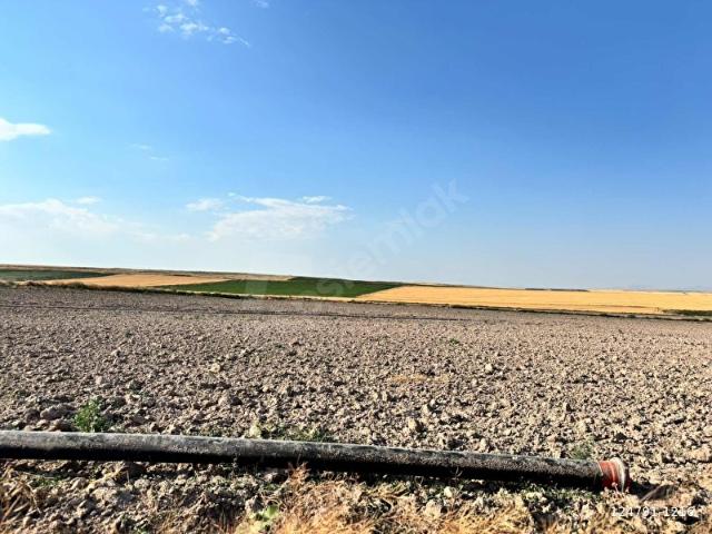 Eski Akören, Emirdağ içerisinde satılık Arsa