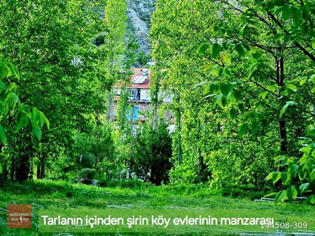 Yukarı Mahalle, Hocalar içerisinde satılık Arsa