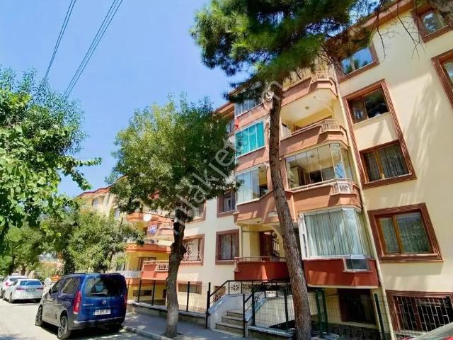 Örnekevler Mahallesi, Afyonkarahisar Merkez içerisinde kiralık mülk