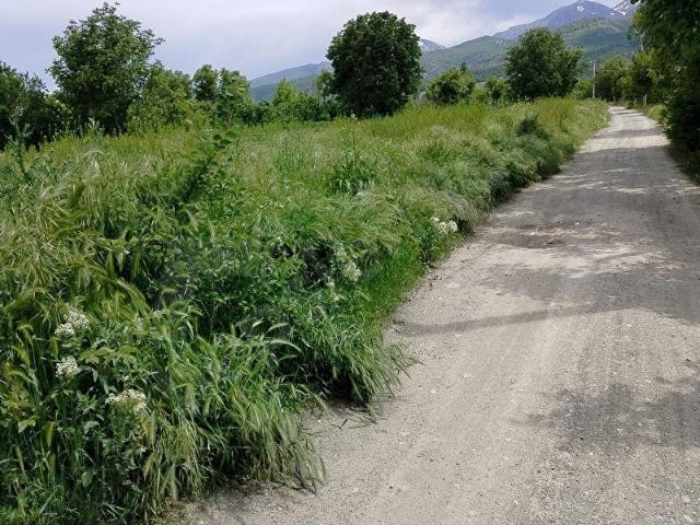 Kayran Mah., Sultandağı içerisinde satılık Arsa