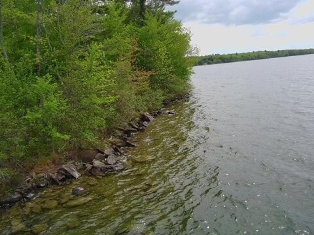 Land for sale in Dexter, Maine