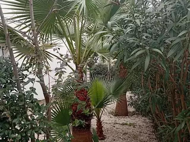 Maison vente à Béziers, Agde