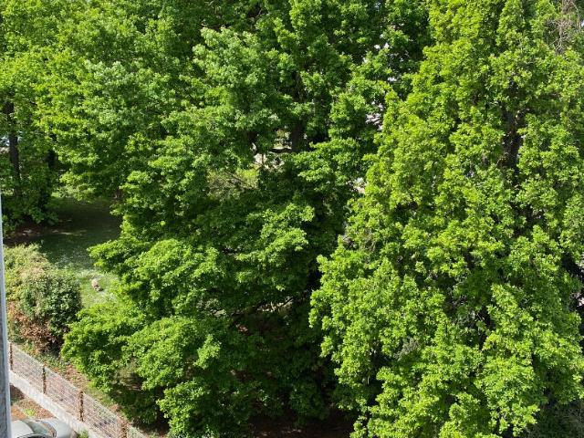 Appartement vente à Agen, Lot-et-Garonne