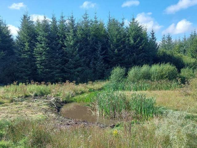 Farm for sale in Lisacul