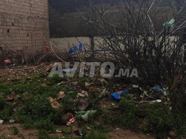 Propriété vente à Mellal