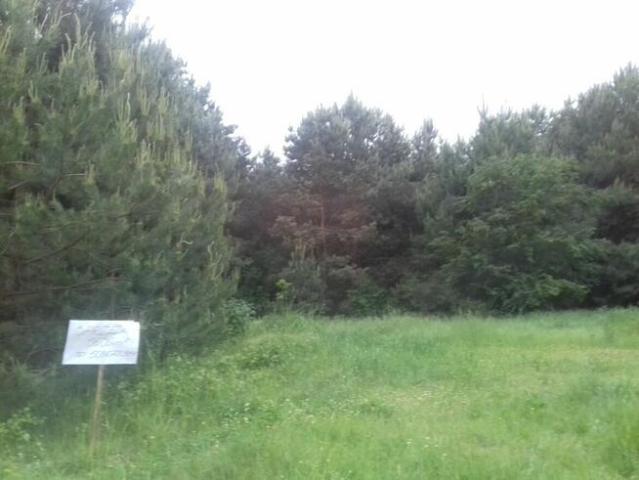 Grunt na sprzedaż w Sędziejowice, Łódzkie