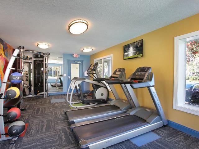 Apartment for rent in Port Richey, Florida
