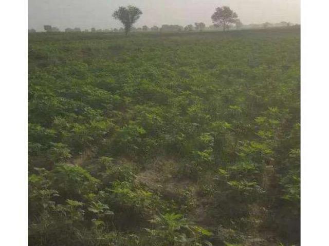 Land for sale in Kasur, Islamabad Capital Territory